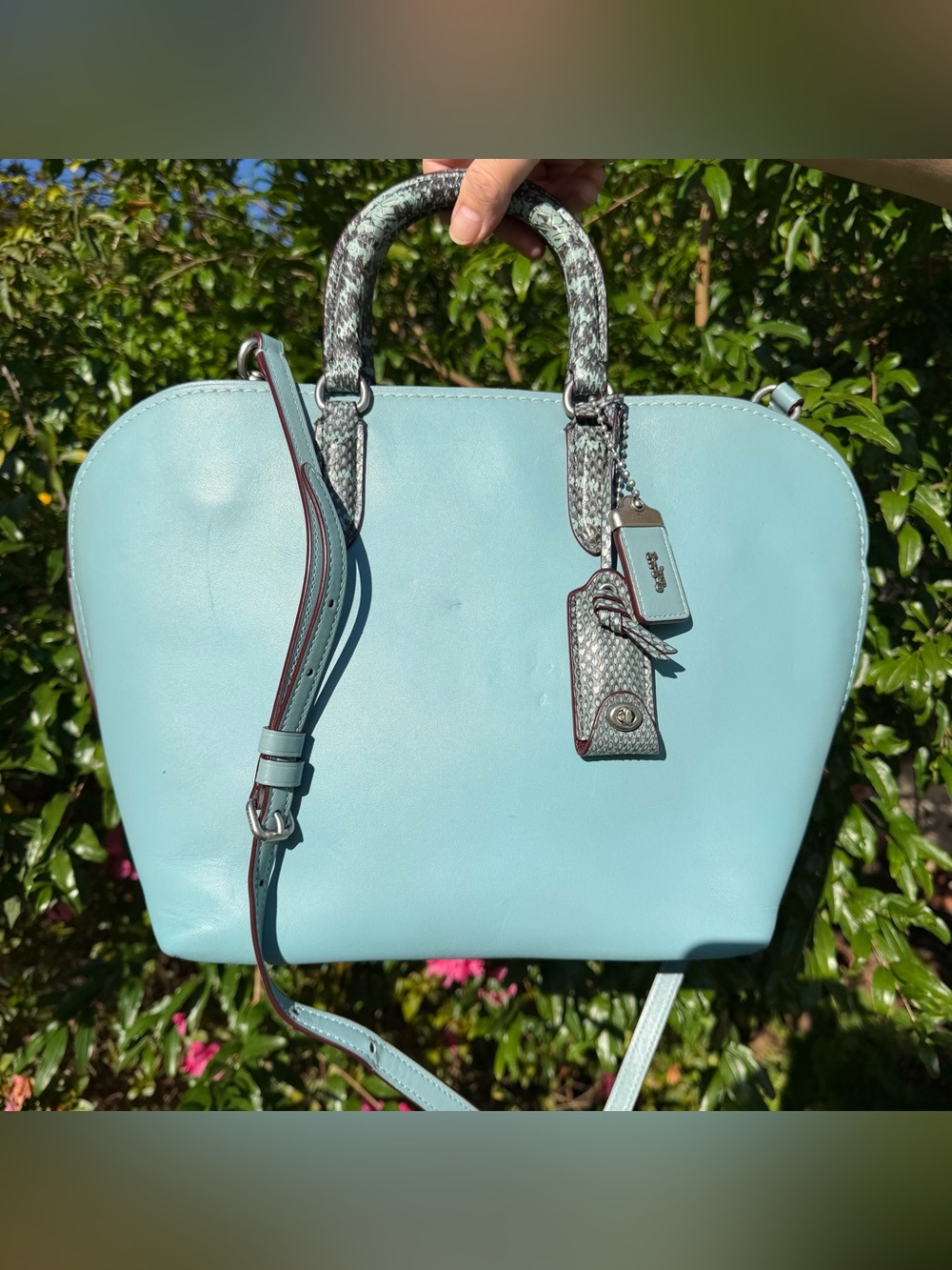Coach Dakotah Satchel With Colorblock Snakeskin Detail 59984